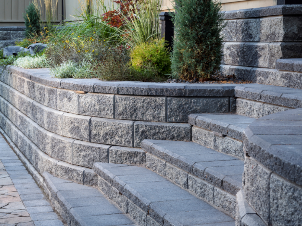 AB Classic Collection