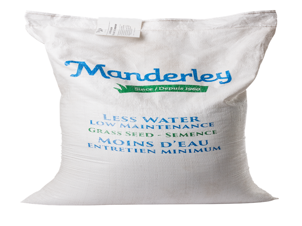 Less Water - Low Maintenance Grass Seed