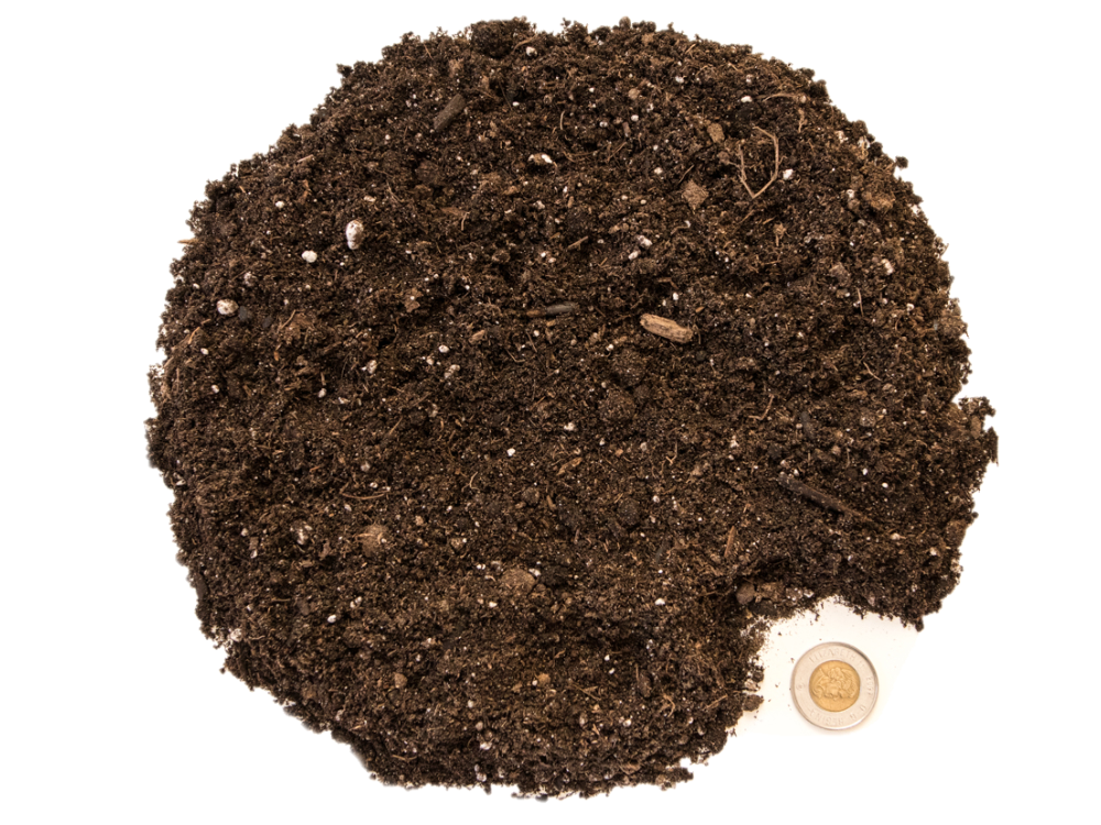 Peat Moss (with Perlite)