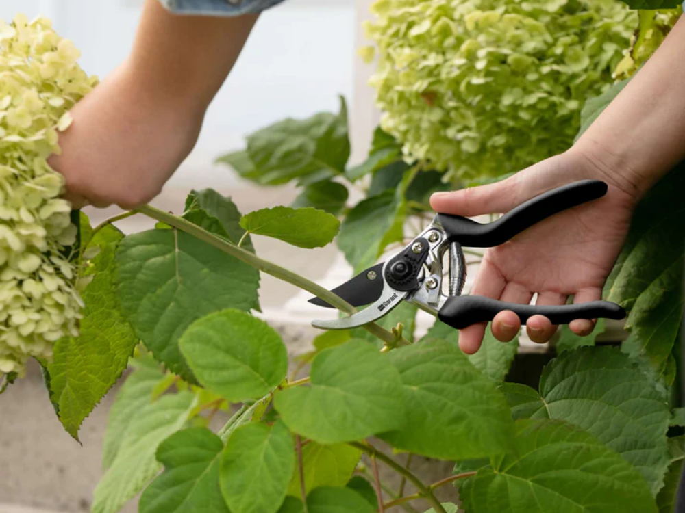 Bypass Pruner 8