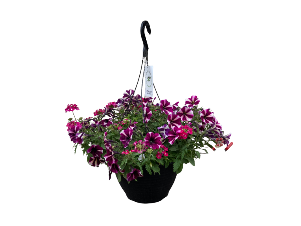 Annual Hanging Baskets