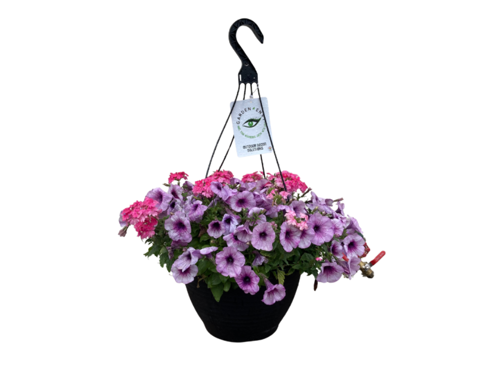 Annual Hanging Baskets