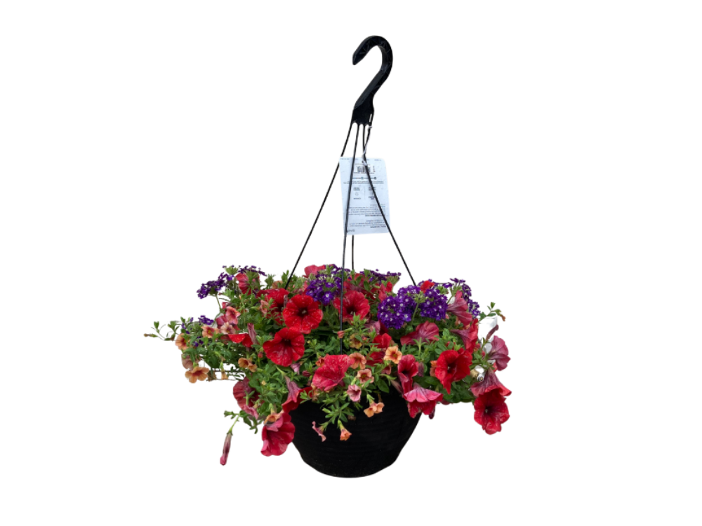 Annual Hanging Baskets