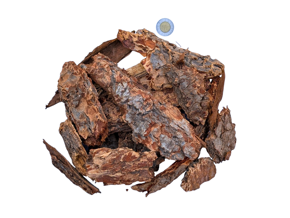 Douglas Fir Large Nuggets