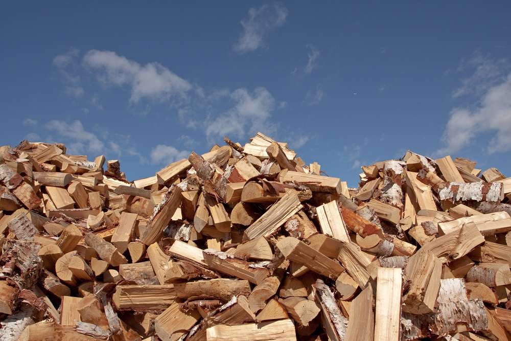 Seasoned BC Birch