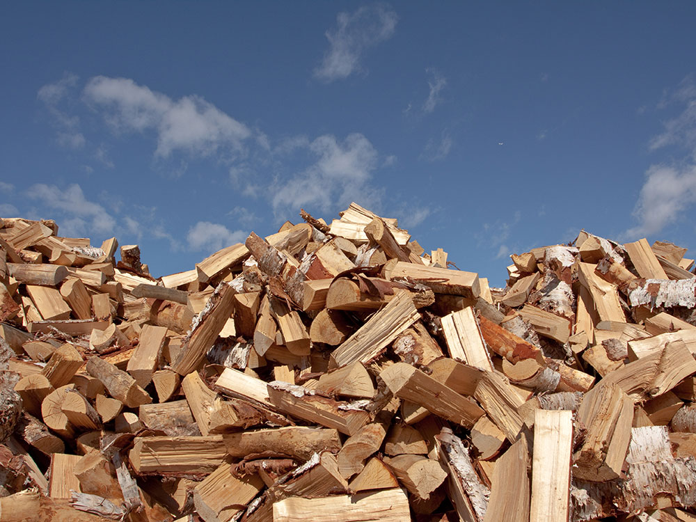 Partially Seasoned Birch 